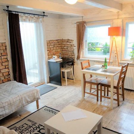 Fajne Stylowe Studio Z Aneksem Kuchennym Apartment Poznan Luaran gambar